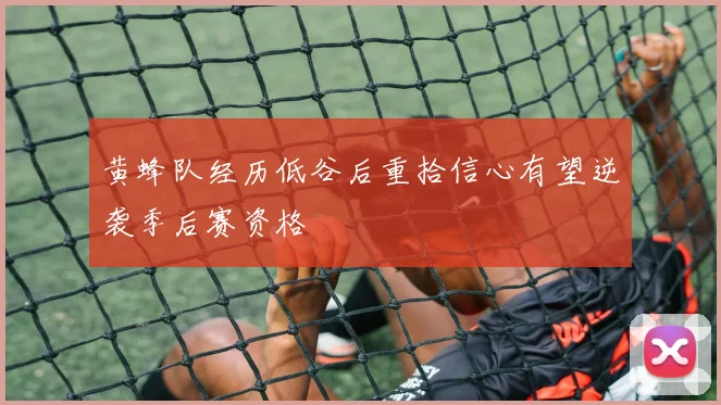 黄蜂队经历低谷后重拾信心有望逆袭季后赛资格