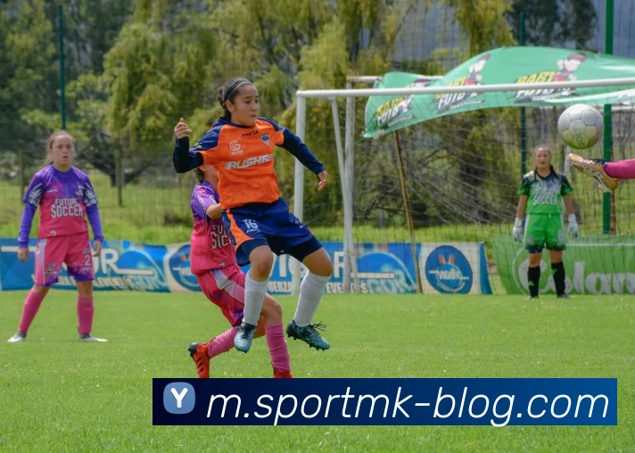 MK体育APP 高清赛事图